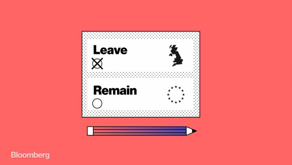 EU referendum poll card